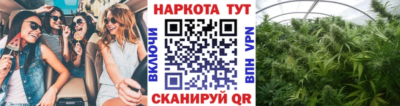Купить наркотики цена Новочебоксарск Галлюциногенные грибы Меф мяу мяу omg Альфа ПВП