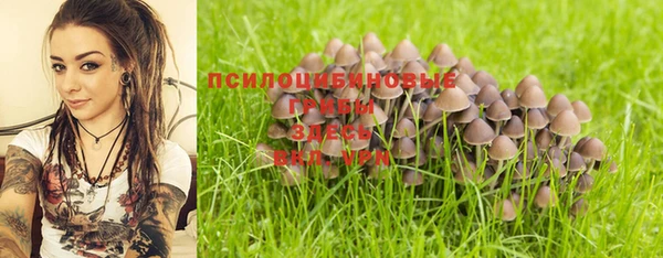 гашик Михайловск
