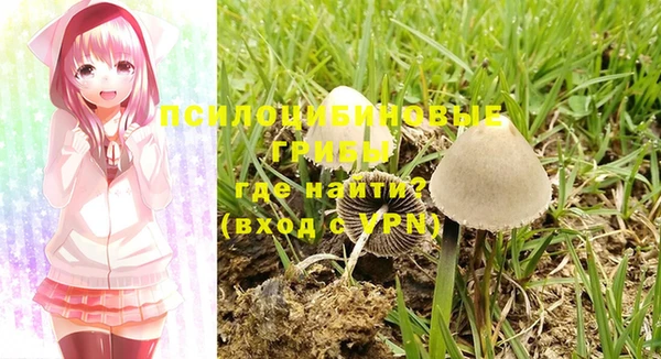 бошки Алзамай