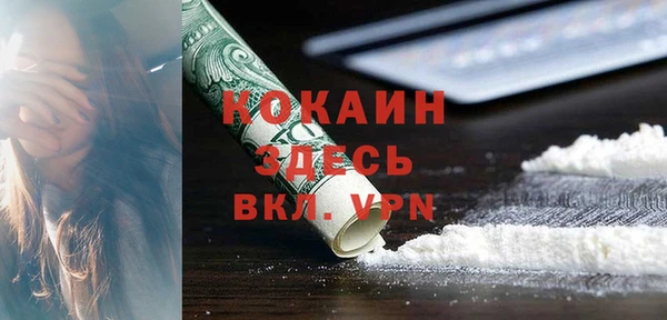 шишки Абинск