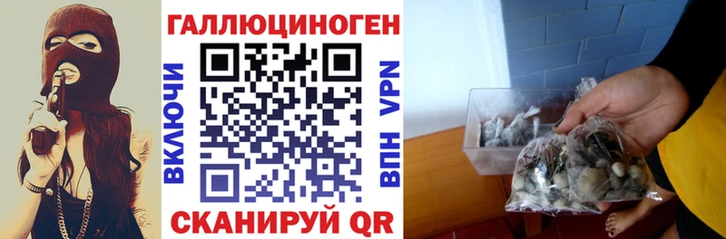 Галлюциногенные грибы мицелий  кракен ССЫЛКА  Новочебоксарск  где найти наркотики 